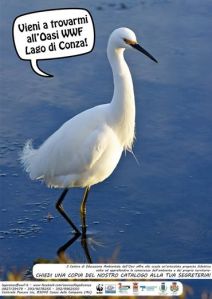 1794812_366439963481157_8354195562207987731_n