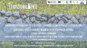 Locandina Tradizionalmente
