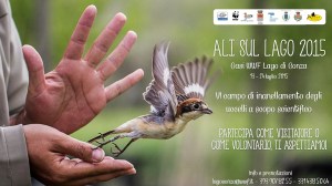 Loc Ali sul lago 2015