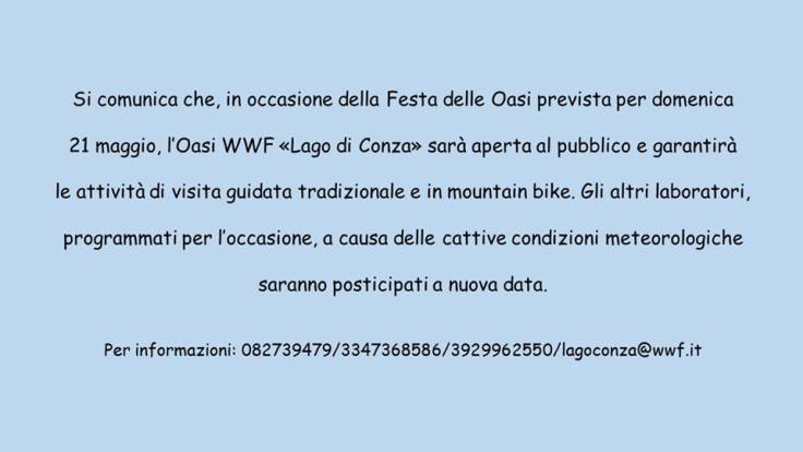 18557218_715977741860709_6201415469761716889_n